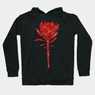 Print flower of protea Hoodie